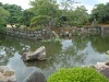 Kyoto Castle Pond